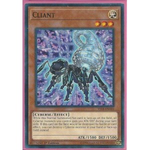 YS18-EN010 Cliant – Common